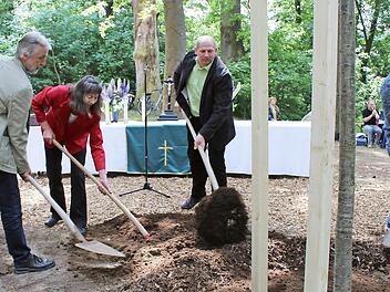 Zur Erinnerung an das Reformationsjubiläum im Jahr 2017 wurde ein Baum gepflanzt, der jetzt in die Parkanlage integriert werden kann. Foto: See