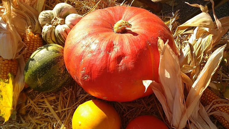 Kürbisse sind ein vielfältig zu verwertendes Herbst-Gemüse. Foto: Popp