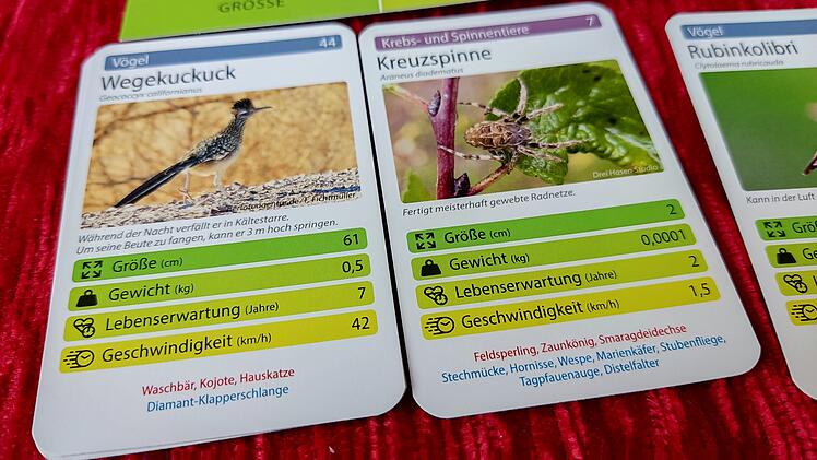 Tiere toppen im Test - geniales Kartenspiel rund um Tierfakten