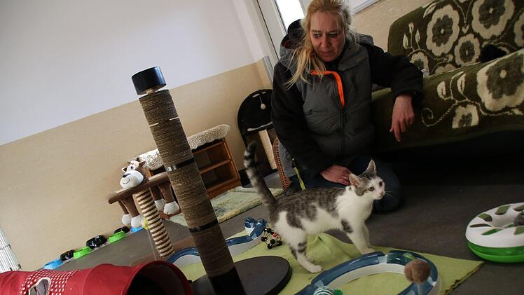Das Tierheim Haßberge bei Zell Foto: Teresa Hirschberg