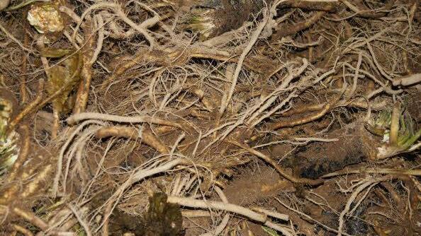 Foto: Heike Reinersmann