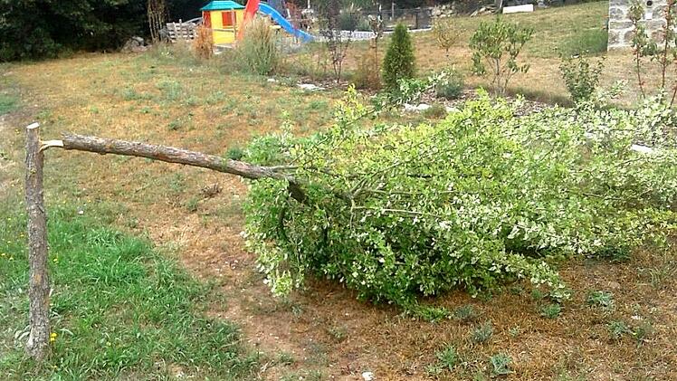 Auch dieser kaputte Baum geht auf das Konto der beiden Mädchen. Archivbild: Gemeinde Zapfendorf