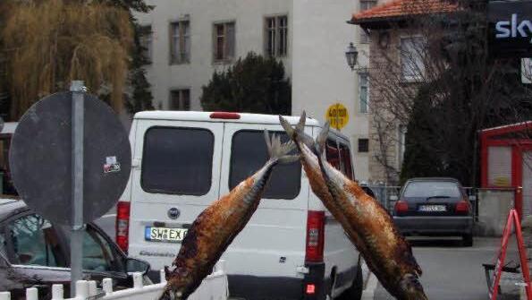 Ob heißer, am offenen Grill gegarter Steckerlfisch ...