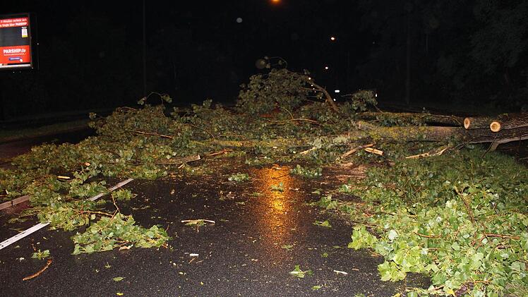 Auch auf der Gebersdorfer Straße musste die Feuerwehr einen Baum wegräumen. Foto: News5 / Klein