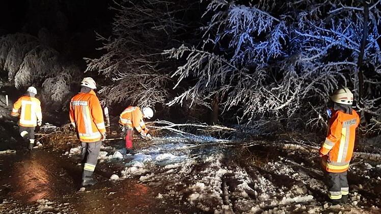 Im Thurnauer Oberland mussten wie Wehrkräfte viele Bäume beseitigen, die durch die Schneelast umgestürzt und auf den Straßen gelandet waren.
