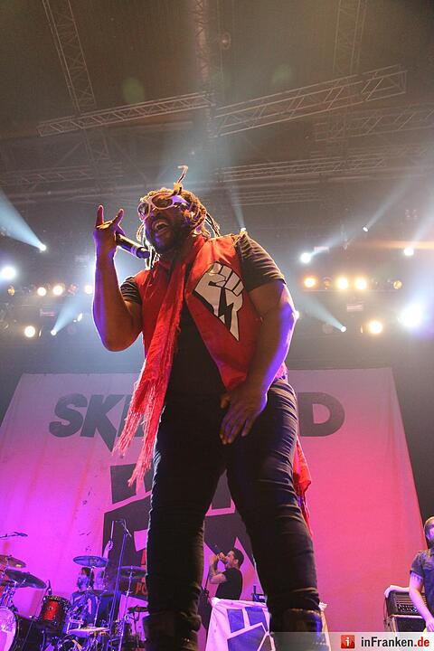 RIP15 - Skindred