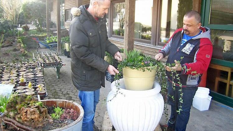 Martin Christ und Volker Paff bestücke einen der neuen Blumenkübel für die Arkaden. Fotos: Thomas Mäuser