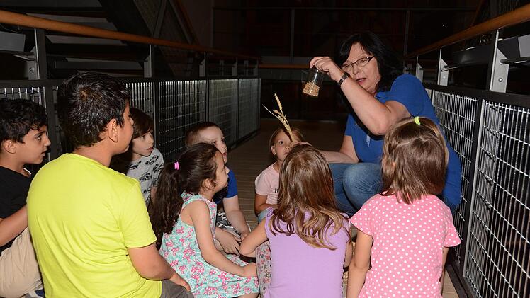 Museumsführerin Annelie Zapf zeigte im vergangenen Jahr den Vorschulkindern des katholischen Kindergartens "Unsere Liebe Frau" im Bäckereimuseum, wie aus Getreide und Wasser Brot wird. Foto: Dagmar Besand