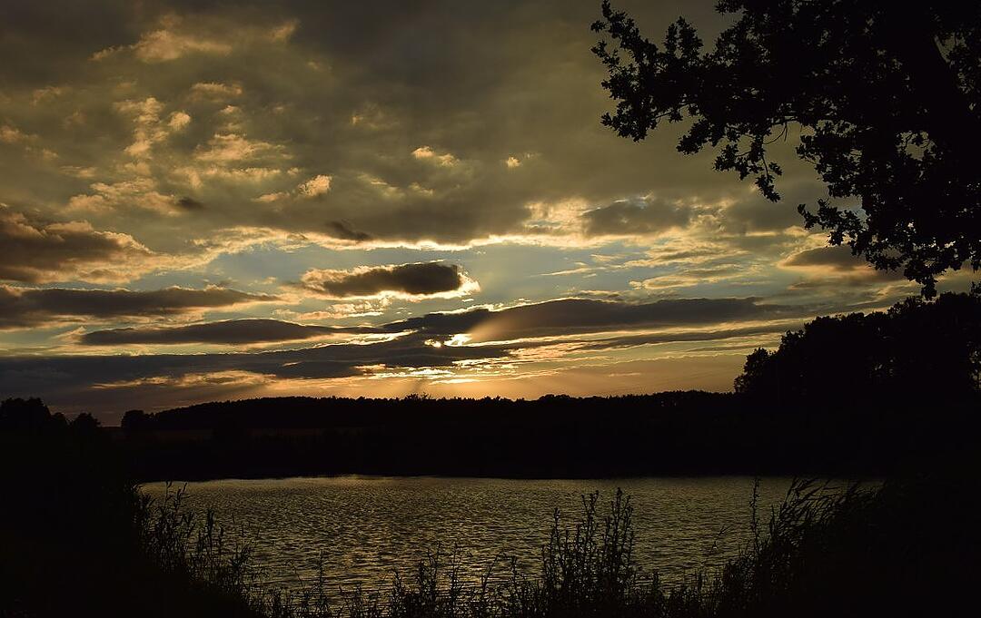 Die schönsten Sommerfotos aus Erlangen und Umgebung