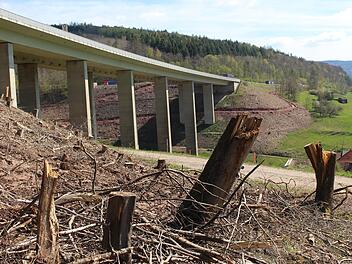 Rund um die Talbrücke Römershag muss der Bewuchs weichen. Eine neue Brücke soll gebaut werden. Direkt unterhalb sind Weiden und ein Wohngebiet. Foto: Julia Raab