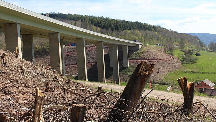 Rund um die Talbrücke Römershag muss der Bewuchs weichen. Eine neue Brücke soll gebaut werden. Direkt unterhalb sind Weiden und ein Wohngebiet. Foto: Julia Raab