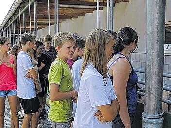 Der Blick in den Schweinestall