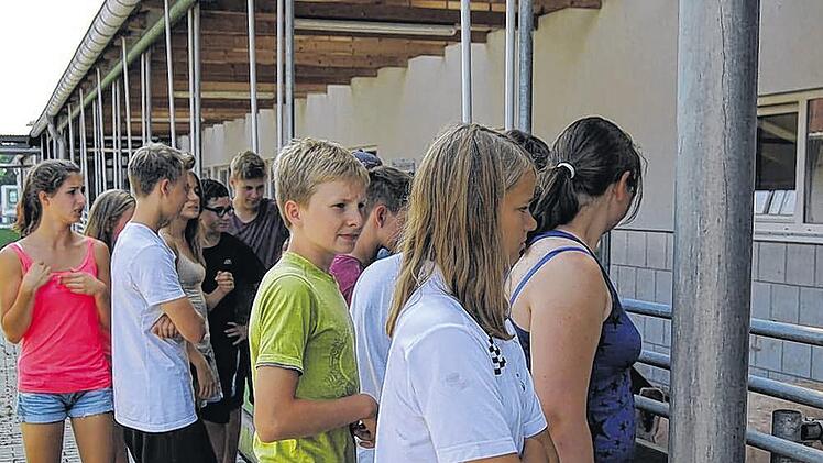 Der Blick in den Schweinestall