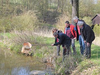 Ein Biotop, das nach Tierarten erforscht wird, ist der Hambachgrund in Creidlitz. Von links: Josline Griese, Jürgen Thein, Gerhard Hübner, Werner Pilz und Bernhard Ledermann Foto: Gabi Arnold