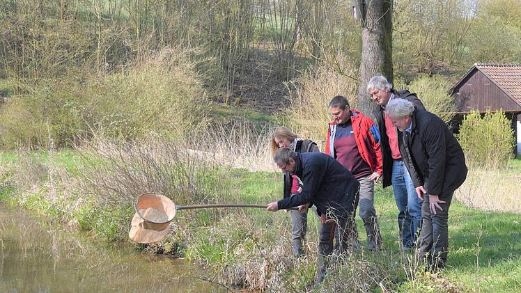 Ein Biotop, das nach Tierarten erforscht wird, ist der Hambachgrund in Creidlitz. Von links: Josline Griese, Jürgen Thein, Gerhard Hübner, Werner Pilz und Bernhard Ledermann Foto: Gabi Arnold
