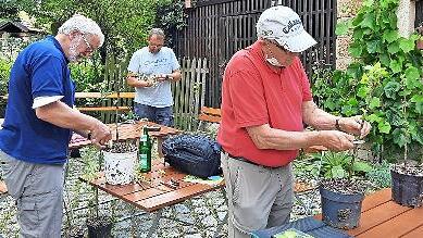 Im Innenhof des UBiZ waren im letzten Jahr alle Teilnehmer hochkonzentriert beim Veredeln der Obstsorten.