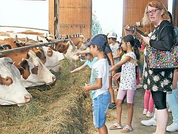 Beim Füttern der Tiere waren die Kinder eifrig bei der Sache. Foto: gerda Völk