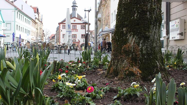 Beete und Blumenkübel in der Innenstadt sind schon bepflanzt.