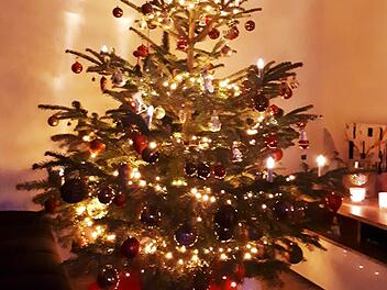 Klassisch schön: der Christbaum von Robert Redwitz.