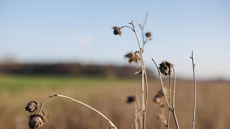 Rettungsmission Rebhuhn