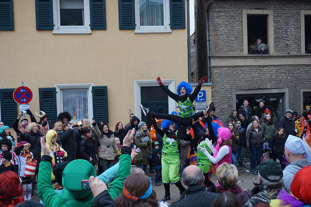 Landkreisfaschingszug 2015