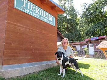Sandra Schunk mit Mischlingshund Finn im Hundefreilauf. Der dreijährige Rüde sucht noch ein neues Zuhause. Fotos: Monika Schütz