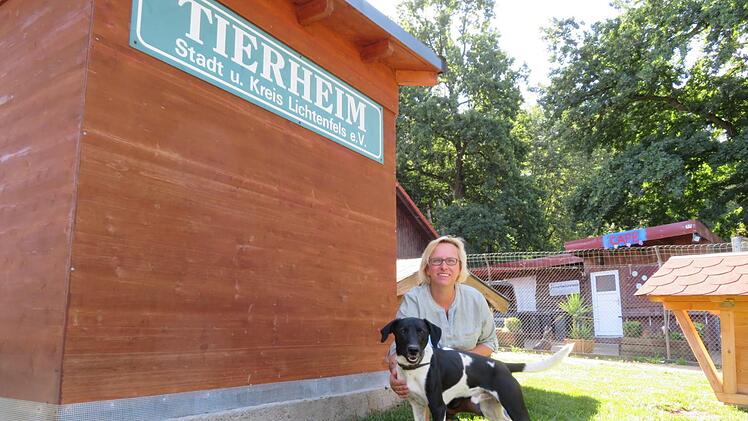 Sandra Schunk mit Mischlingshund Finn im Hundefreilauf. Der dreijährige Rüde sucht noch ein neues Zuhause. Fotos: Monika Schütz