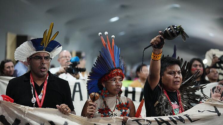 Weltklimakonferenz COP30