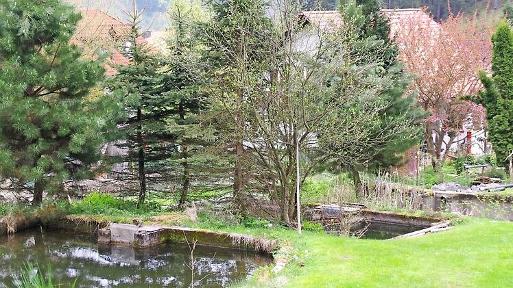 Sechs Teiche sind an dem großen Hanggrundstück angelegt.