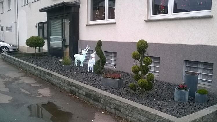 Bamberg: "Grüne Oasen oder Schotterwüsten" - Das ist die traurige Wirklichkeit in privaten Gärten