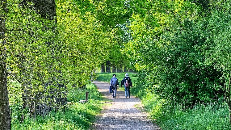 Bewegung bei Demenz ist Teil der nicht-medikamentösen Therapie.