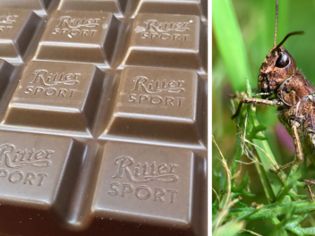 Ritter Sport stellt Schokoladensorte "Ganze Grille" vor