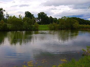 Landkreis Bamberg: Weiterer See mit Blaualgen befallen - Gesundheitsamt spricht Badewarnung aus
