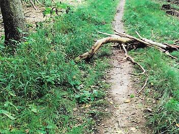 Solche Fallen machen es am Bausenberg gefährlich.