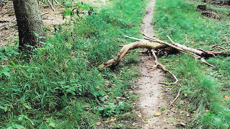 Solche Fallen machen es am Bausenberg gefährlich.