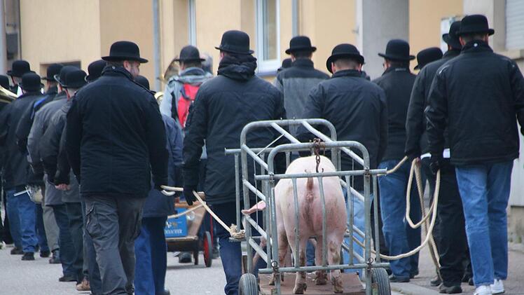 Dieses Schwein sollte im Jahr 2017 das letzte sein, das im Wagen durch das Dorf gezogen wurde. An ihrer Tradition halten die Cocks trotzdem fest. An Kirchweih wird geschlemmt und gut getrunken.  Heike Beudert