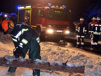 Die Garitzer Wehr beseitigte einen Baum auf der Straße bei Wittershausen. Foto: Peter Rauch
