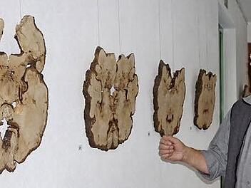 Herbert Holzheimer zeigt seine neuen Arbeiten, Holzbilder des ehemaligen Münnerstädter Naturdenkmals, in seiner aktuellen Ausstellung im Haus der Schwarzen Berge in Oberbach.  Foto: Marion Eckert