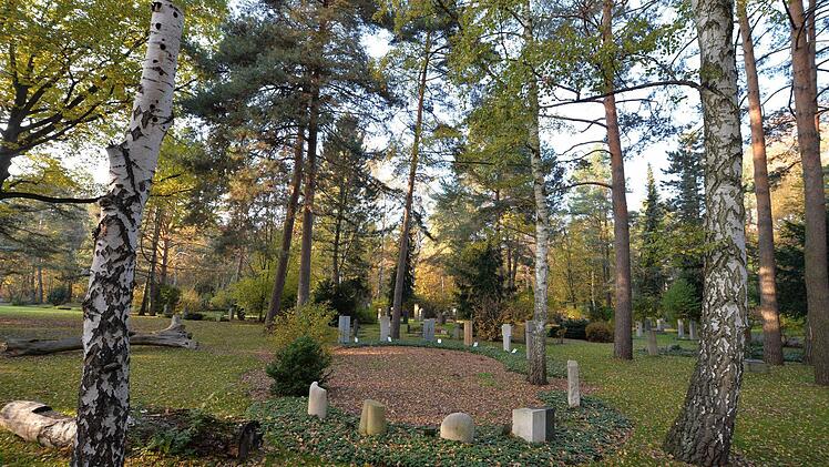 Gräberkreis an einer Birkengruppe Foto: Ronald Rinklef
