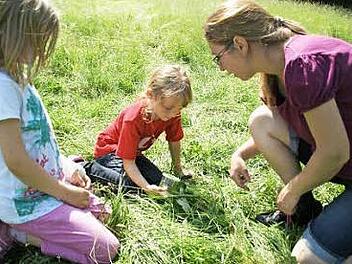 Ganz genau wollen Alina und Jasmin die Details des Wiesen-Bockskrauts erkunden und setzen ihre Becherlupe ein.  Foto: Sabine Weinbeer