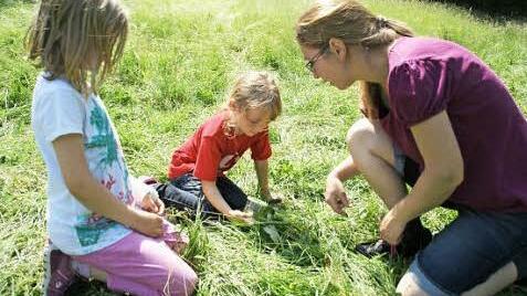 Ganz genau wollen Alina und Jasmin die Details des Wiesen-Bockskrauts erkunden und setzen ihre Becherlupe ein.  Foto: Sabine Weinbeer
