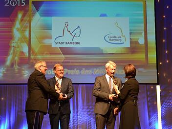 Bei der Preisübergabe: Dr. Helfried Schmidt (Vorstand der Oskar-Patzelt-Stiftung, von links), Oberbürgermeister Andreas Starke, Landrat Johann Kalb und Petra Träger (Vorstand der Oskar-Patzelt-Stiftung).  Fotos: Landratsamt