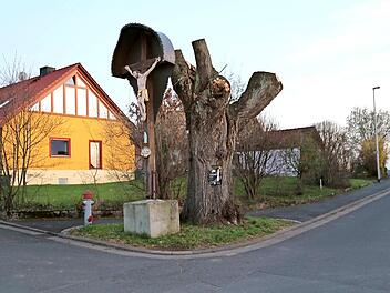 Für die alte Linde gibt es keine Rettung.  Foto: Franz Galster