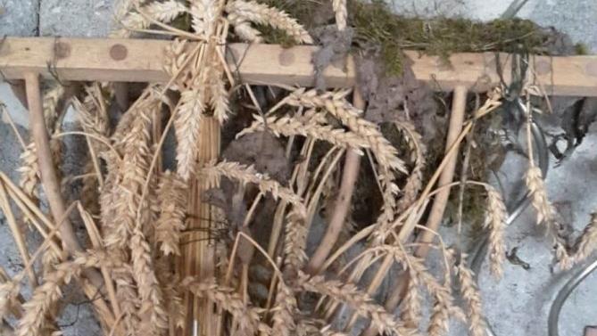 Ein Rechen aus dem Heimatspiel ist jetzt ein Nest.