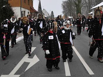 Die Urzeln sind eine Besonderheit des Weisendorfer Umzuges. Fotos: Roland Meister