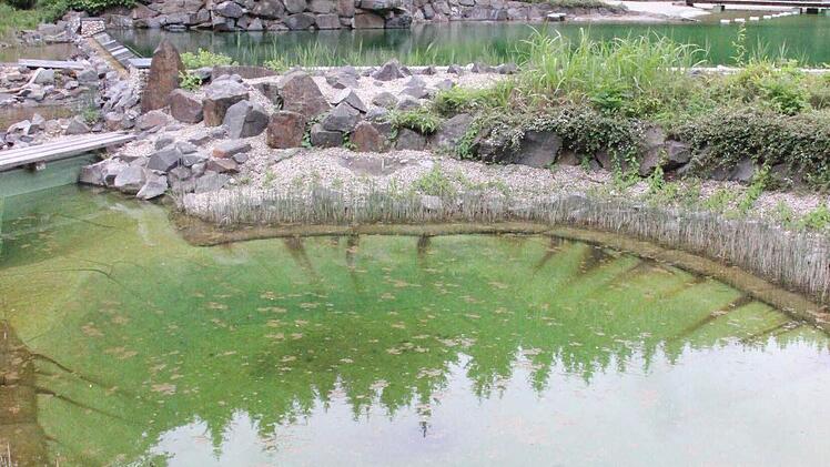 Aus dem Badeteich (rechts oben) fließt das Wasser über Kaskaden in mehrere tiefer liegende kleinere Becken und wird dadurch schon vorgereinigt.  Foto: Friedwald Schedel