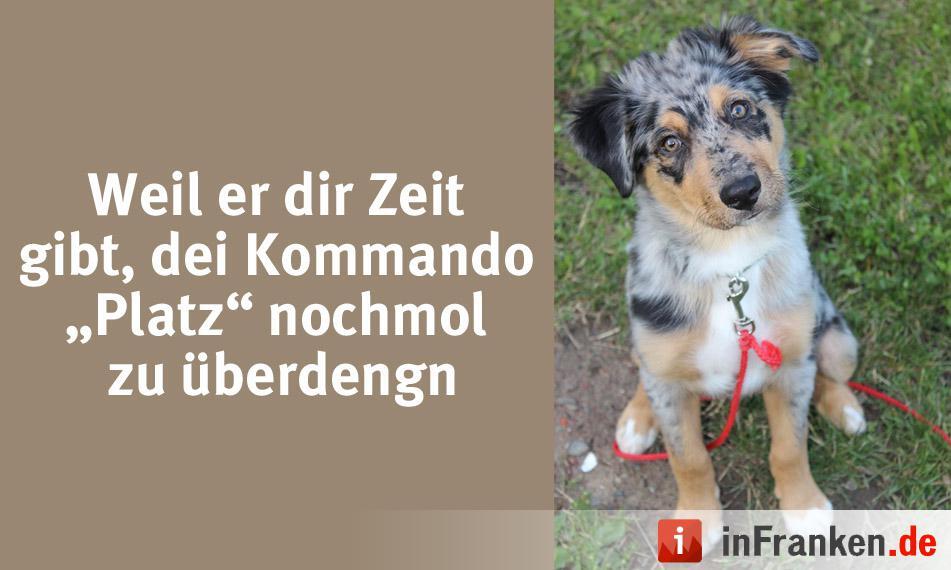 Foto: Melanie Müller