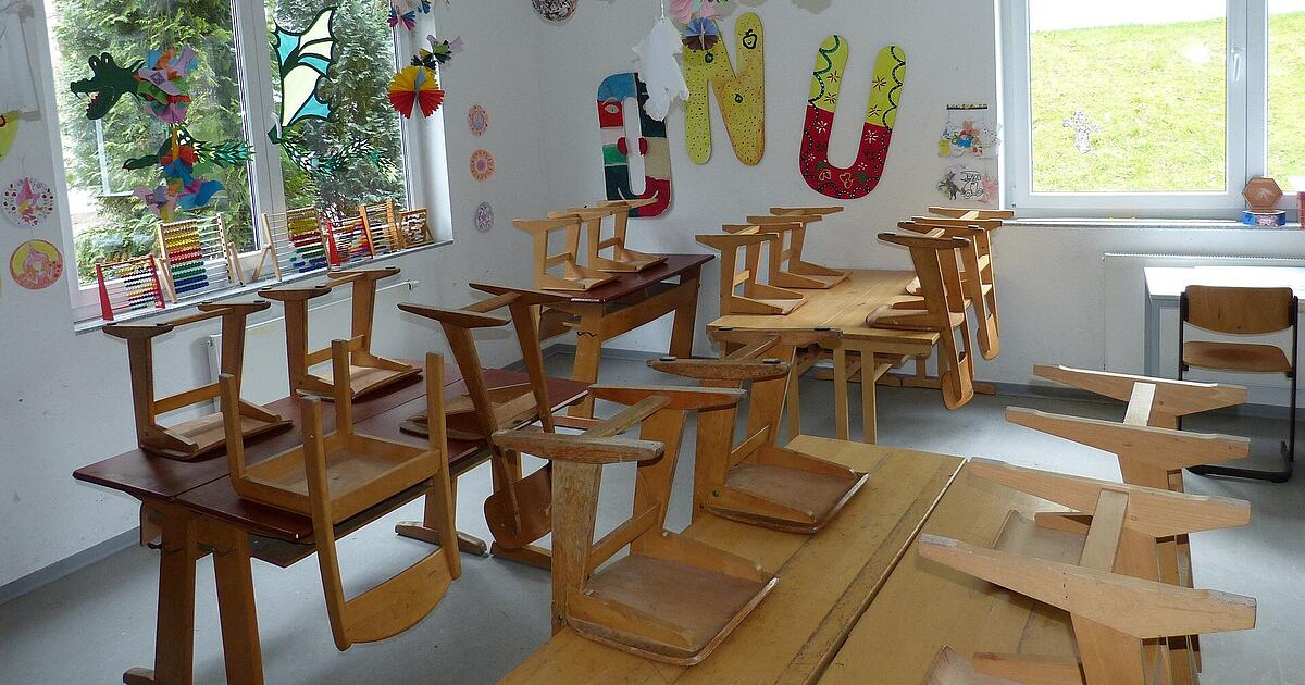 Nürnberger Grundschule stoppt Unterricht wegen Eichenprozessionsspinnern