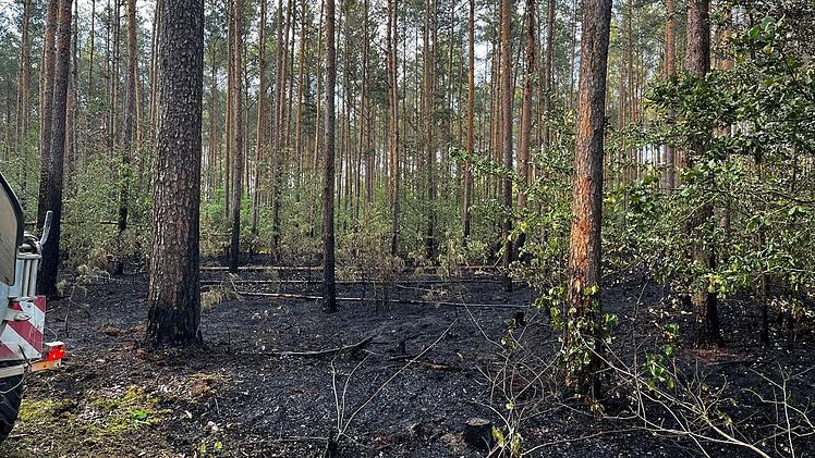 Strullendorf: Waldbrand im Landkreis Bamberg - "Wären nicht zurechtgekommen"