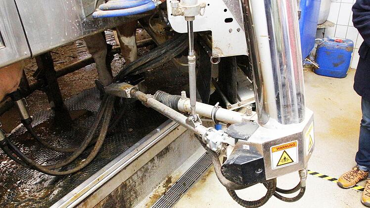 Besuch im Stall von Christine und Christian Werner in Poxdorf. Foto: Josef Hofbauer